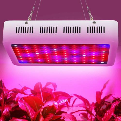 6 Best 300W LED Grow Lights (2026 Review Guide)