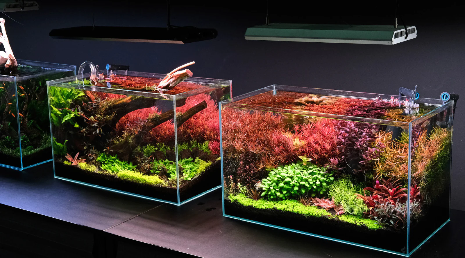 15 Best Aquarium LED Lights (2026 Review Guide)