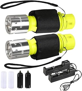 Diving Flashlight - IPX8 Waterproof LED Torch (2Pack)