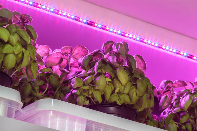20 Best LED Grow Lights (2026 Review Guide)
