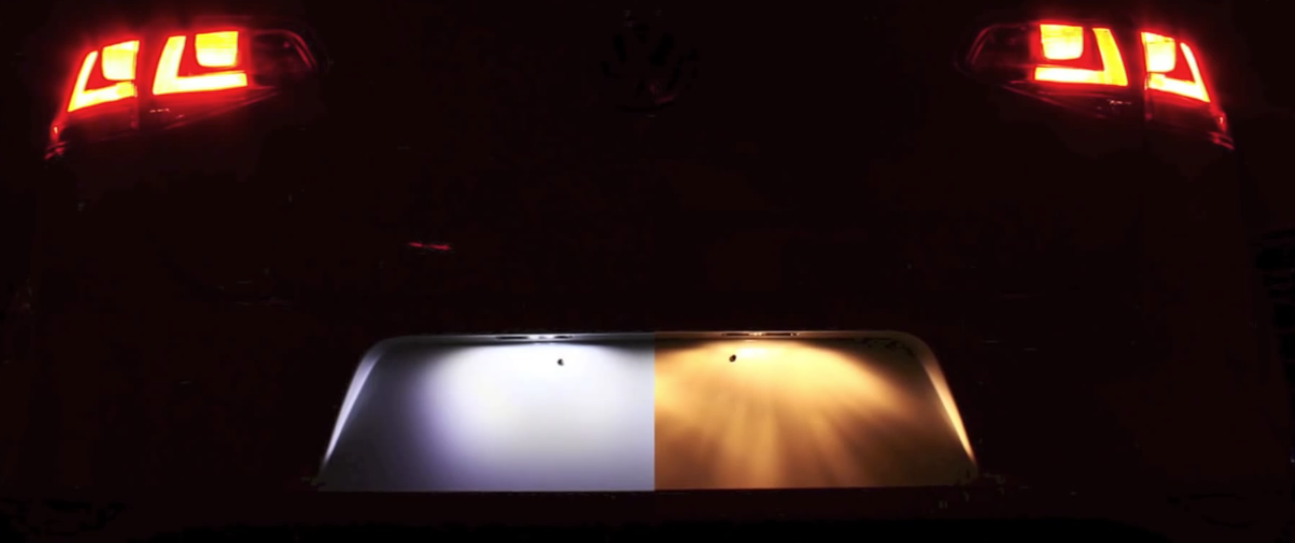 11 Best LED License Plate Lights (2026 Review Guide)