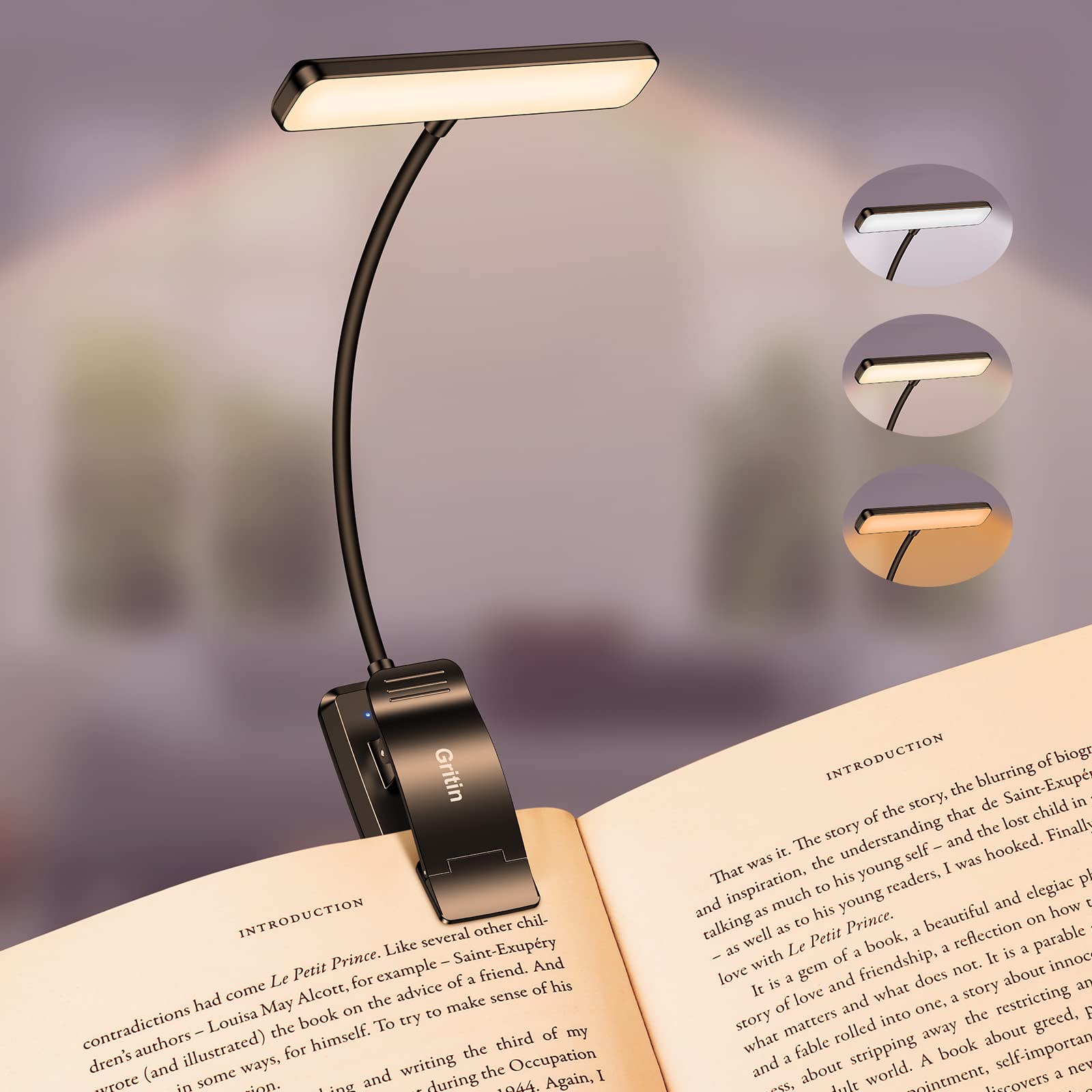 10 Best Reading Lights (2026 Review Guide)