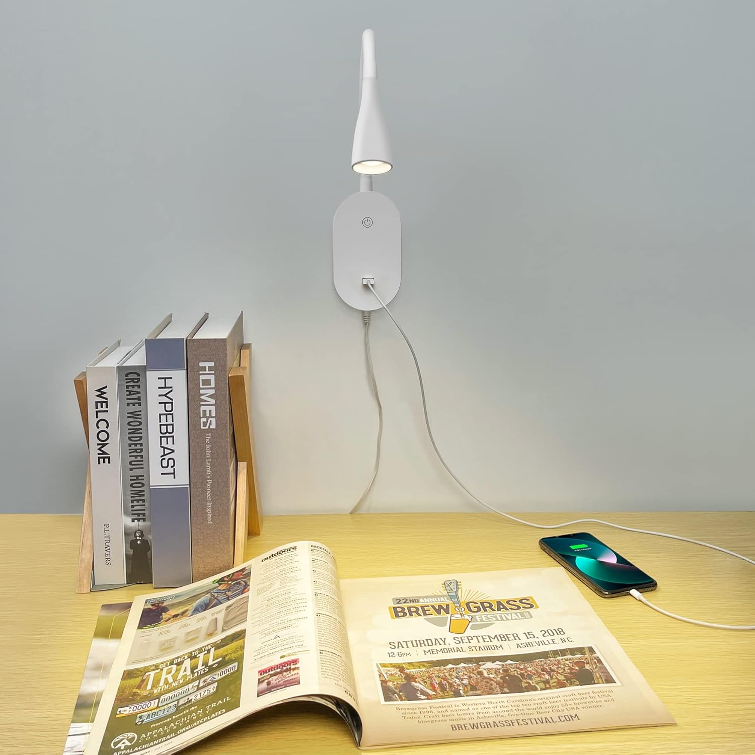 Wall Reading Light for Books in Bed