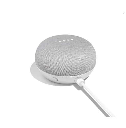 Google Nest Mini 1st Gen with Global Power Adapter