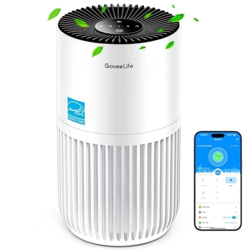 GoveeLife Smart Mini Air Purifier with App Control
